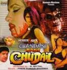 Chandani Bani Chudel, Vijay Solanki, Reena Kapoor, Nisha, 1984