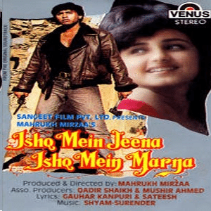 Ishq Mein Jeena Ishq Mein Marna, Divya Dutta, Brij Gopal, Shafi Inamdar, 1994