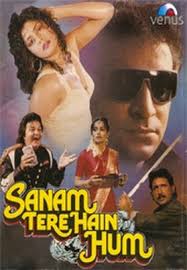 Sanam Tere Hain Hum, , 1999