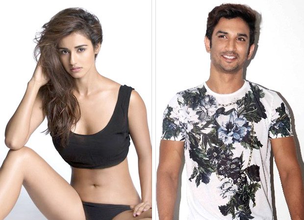 What? Disha Patani to be paired opposite Sushant Singh Rajput once again?, , 2017