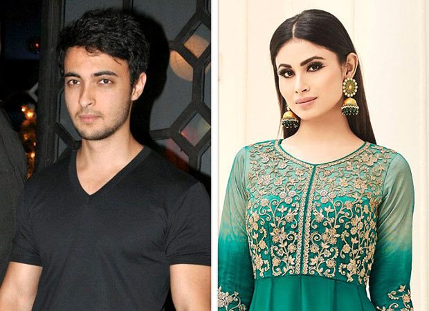 Salman Khan s brother-in-law not to be launched opposite Mouni Roy, , 2017