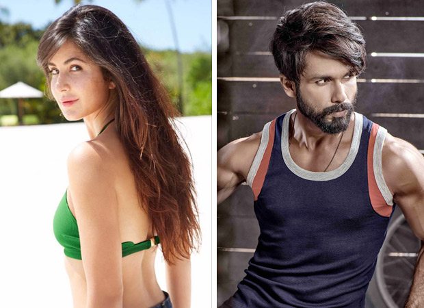 WHOA! Is Katrina Kaif paired opposite Shahid Kapoor in Toilet-Ek Prem Katha director s next?, , 2017