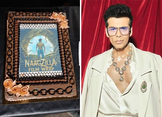 EXCLUSIVE: Kartik Aaryan-starrer Naagzilla wraps shoot on a sweet note; Ravi Kishan and team celebrate as Mahaveer Jain, Mrighdeep Singh Lamba say, “Dharma is the BEST company to partner with&#8, , 2026